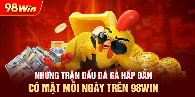 Những trận đấu đá gà hấp dẫn có mặt mỗi ngày trên 98Win